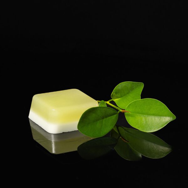 ZIEPES TUNE IN MINDSET